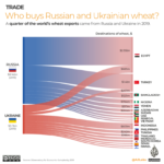 Ukraine War & Global Food Crisis