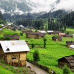 A Statistical Overview and Reality Check of AJK