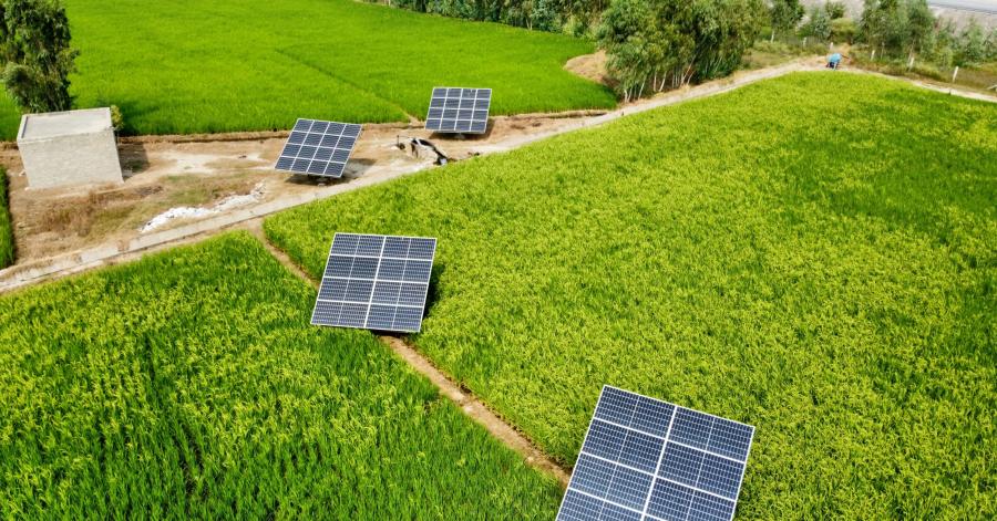 Winners and Losers of the Green Pakistan Initiative
