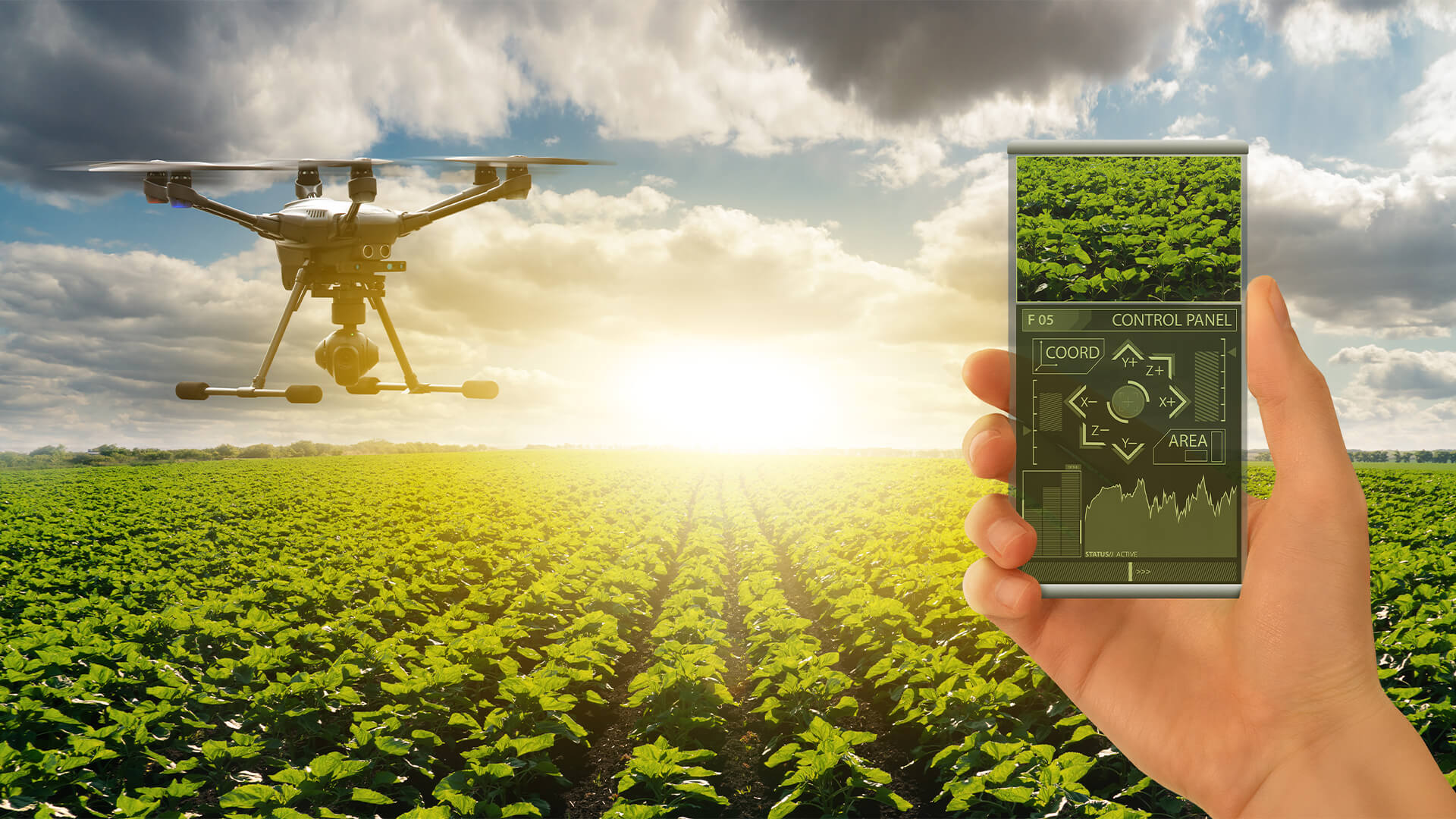 Pakistan’s Green Transition Unlocking Economic Opportunities