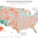From Cave Walls to Clickbait in a Misled World