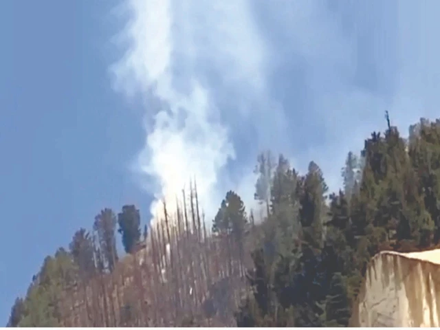 Skies Secured: Pakistan’s Answer to Indian Aggression is a Technological Leap