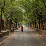 India Under Modi Isn’t a Democracy, It’s a PR Empire with Nuclear Weapons and No Moral Compass