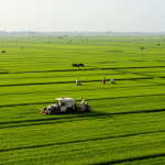 Pakistan’s Agriculture at a Turning Point: Facts, Figures, and the Path Ahead