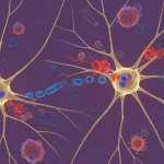 Polio-Free Pakistan: A Goal Within Reach Thanks to Strong National Will