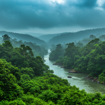 As Monsoon Intensifies, Punjab Braces for Flood Crisis and a Test of Disaster Preparedness