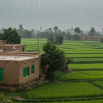 Balochistan on High Alert as Heavy Rains Trigger Flood Threats