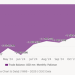 Pakistan Navigates Challenges to Boost Economic Momentum