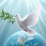 Pakistan’s Commitment to Peace: A Regional Leader in Diplomacy and Resilience