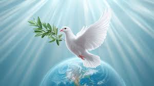 Pakistan’s Commitment to Peace: A Regional Leader in Diplomacy and Resilience