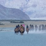 The Jammu Massacre of 1947: Remembering a Forgotten Tragedy