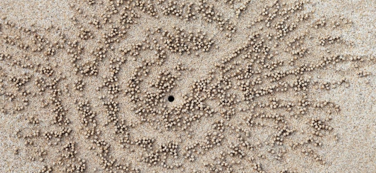 The Ephemeral Mark: When Policy’s Grand Designs Vanish Like Sand Spirals