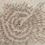 The Ephemeral Mark: When Policy’s Grand Designs Vanish Like Sand Spirals