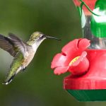 Beneath the Spectacle: The Unseen Costs of Institutional Ambition and Public Trust