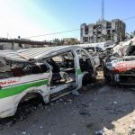 Gaza’s Unseen Foe: Rodents and Disease Deepen Humanitarian Catastrophe