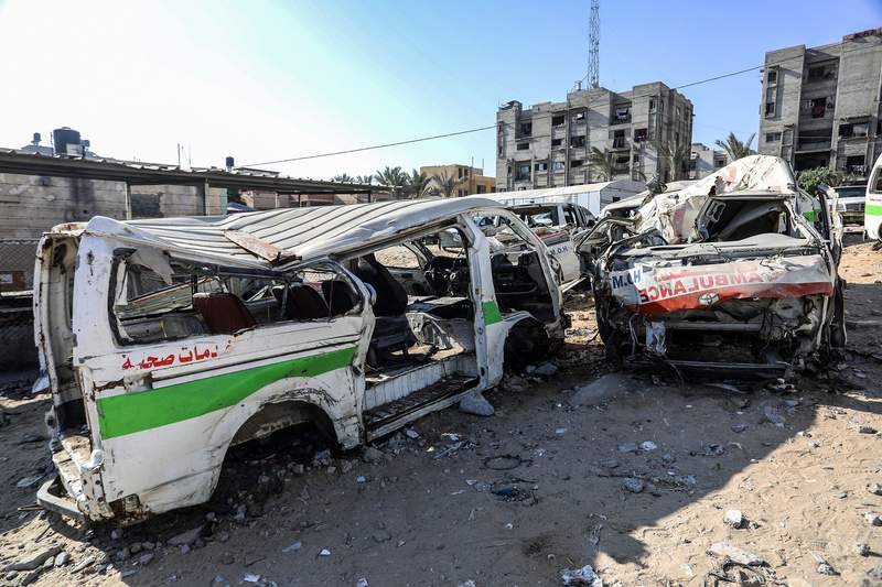 Gaza’s Unseen Foe: Rodents and Disease Deepen Humanitarian Catastrophe