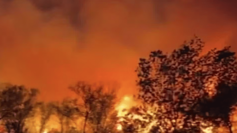 Riverside Fire: Swift Containment, Swifter Narrative Control in Española’s Wake