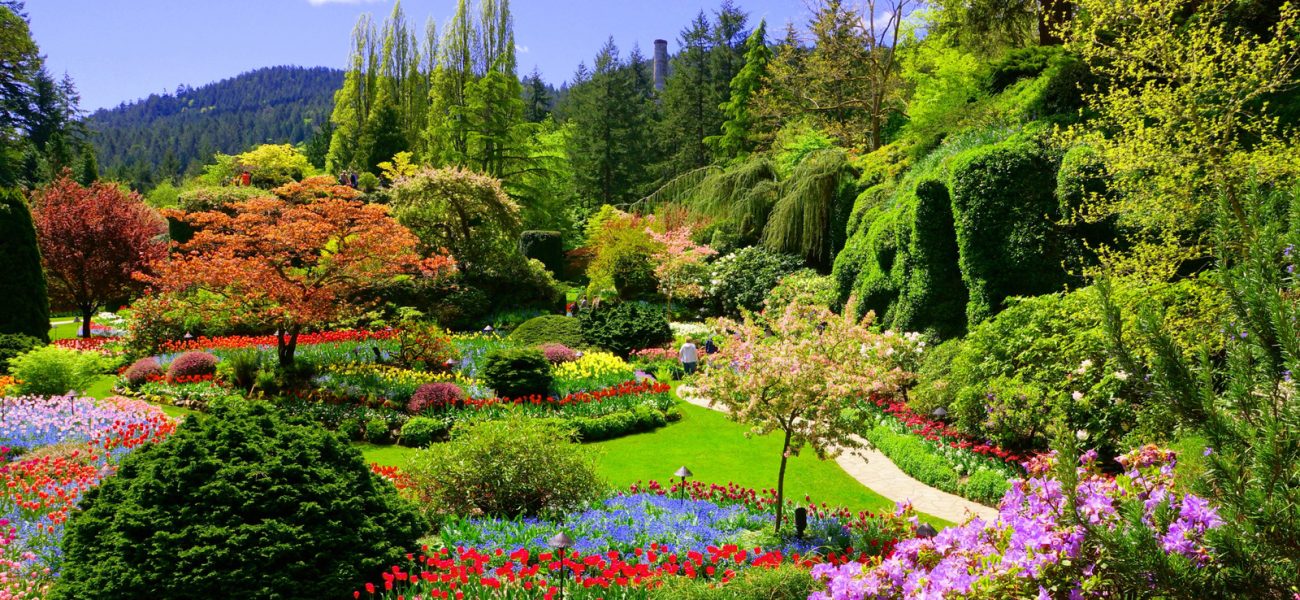 From Industrial Scar to Verdant Spectacle: Canada’s Quarry Rewrites Green Policy