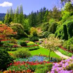 From Industrial Scar to Verdant Spectacle: Canada’s Quarry Rewrites Green Policy