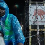 Silent Diplomacy in Hoofbeats: How a Rare Antelope’s Repatriation Illuminates Global Policy Fault Lines