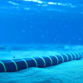 Silent Depths: Unmasking Asia’s Covert Undersea Rivalry Amidst Drone Discovery