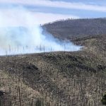 New Mexico’s Hummingbird Inferno: A Policy Litmus Test Igniting Global Concerns