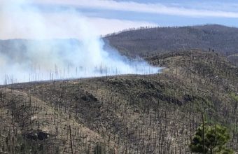 New Mexico’s Hummingbird Fire: A Relentless Overture to a Warming World’s Fury
