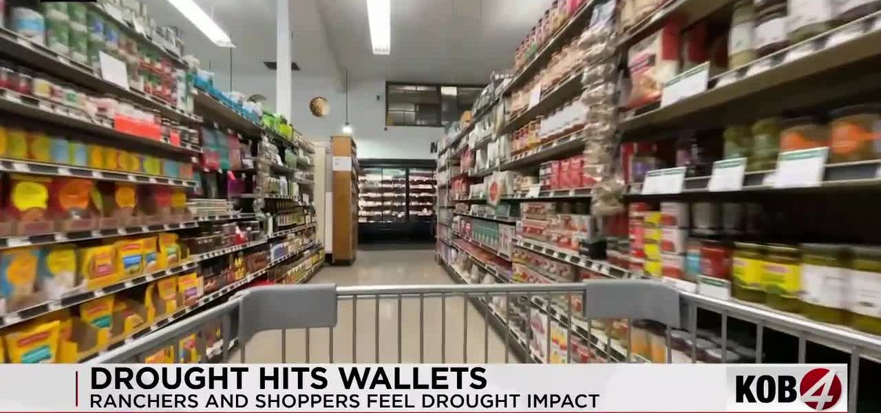 The Arid Arithmetic of Appetites: New Mexico’s Thirst, Your Steak’s Price Tag