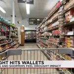 The Arid Arithmetic of Appetites: New Mexico’s Thirst, Your Steak’s Price Tag