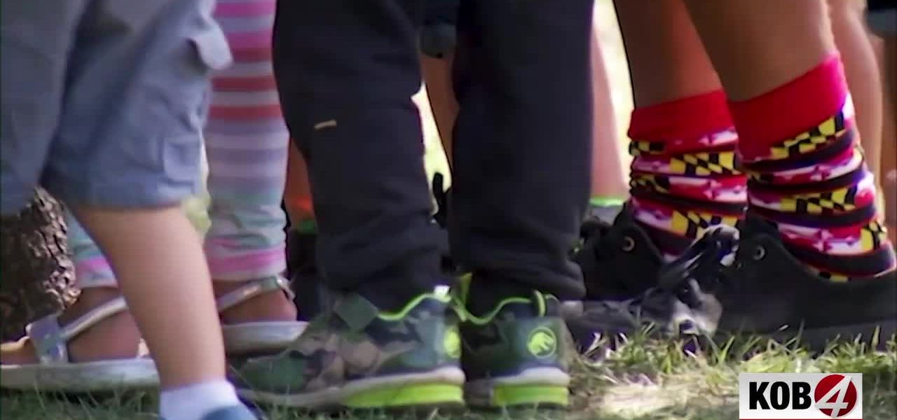 New Mexico’s Childcare Mandate Hits Judicial Snag, Pitting Executive Zeal Against Legislative Prerogative