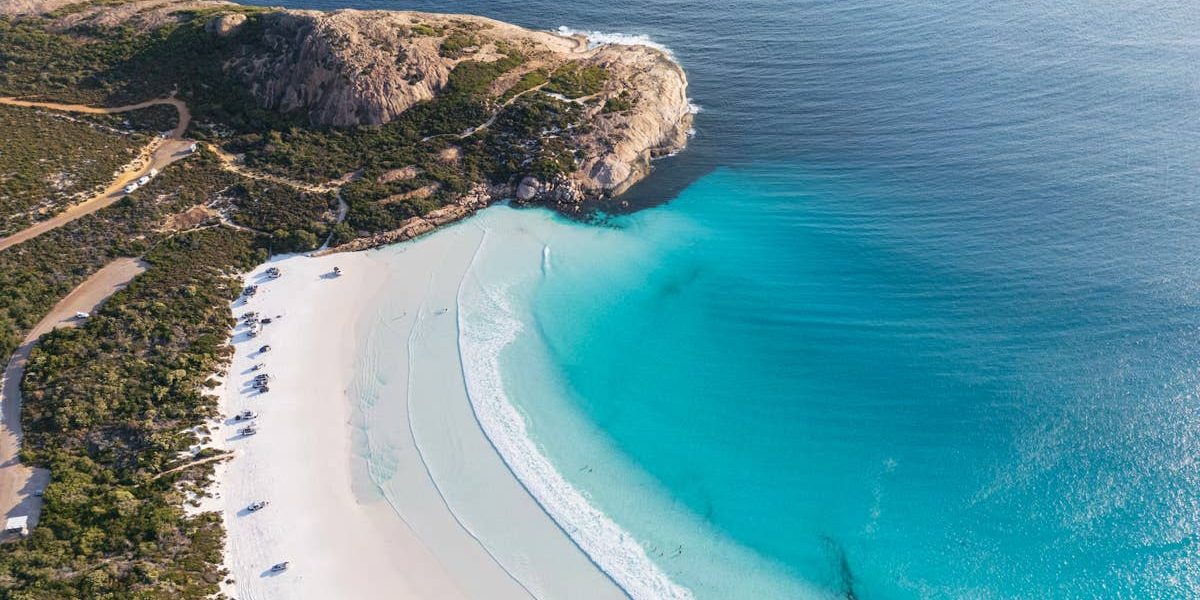 Coral’s Cold Comfort: Where Apex Predators Prowl, Tourism Crowns a ‘Best Beach’