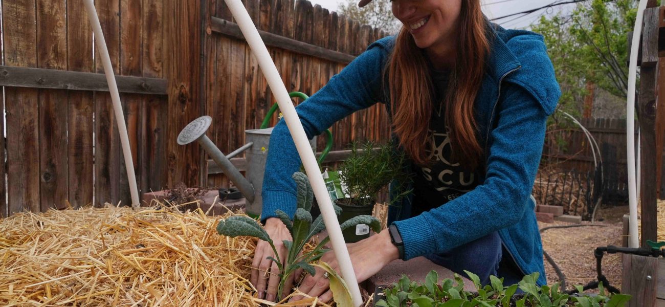 The Silent Battle for Sustenance: Water Scarcity Forges New Geopolitical Fronts