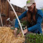 The Silent Battle for Sustenance: Water Scarcity Forges New Geopolitical Fronts