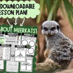Free Meerkat Unit Plan: Engaging Wildlife Education for Kids and Homeschoolers
