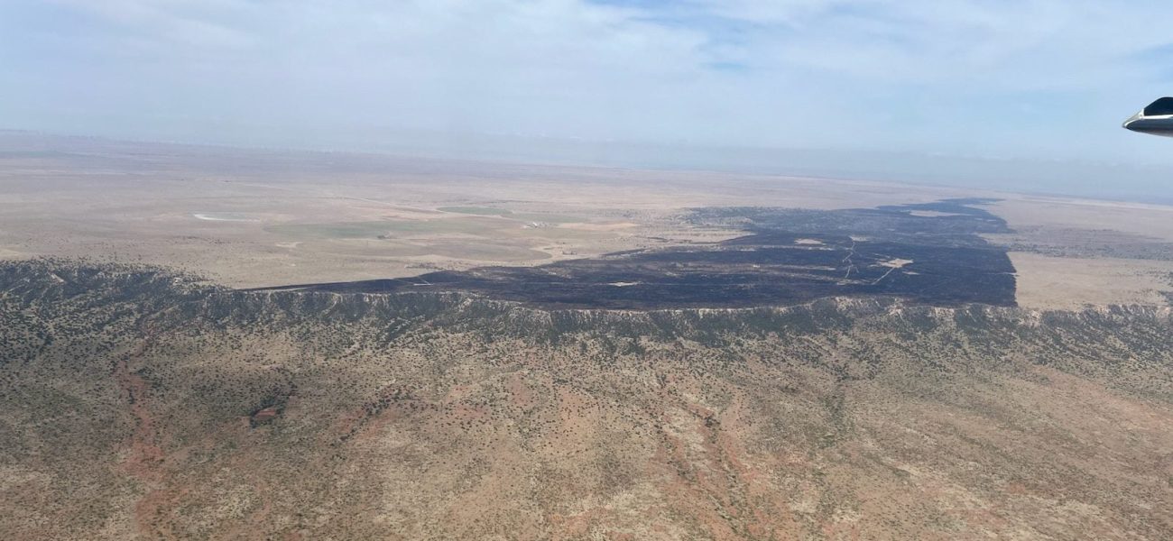 Desert’s Fury Unleashed: New Mexico Inferno Spans 10,000 Acres, Tests State Resilience