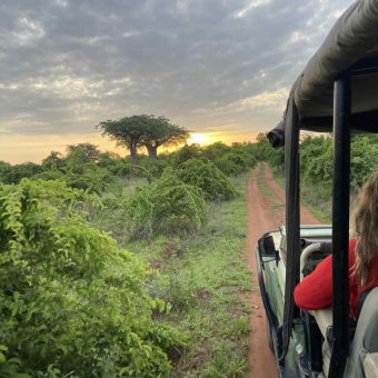 Tanzania’s Untamed South: A Strategic Bet on Wilderness Diplomacy