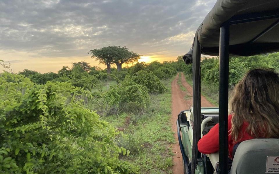 Tanzania’s Untamed South: A Strategic Bet on Wilderness Diplomacy