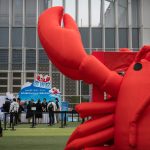 OpenClaw’s Phenomenal Ascent: Reshaping China’s Digital Economy and Tech Landscape