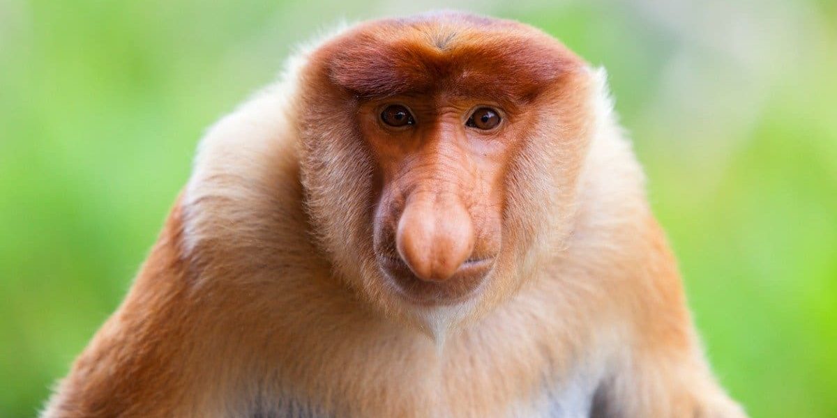 The Uncouth Titans: How Global Powerhouses Stumble Through the Geopolitical Jungle