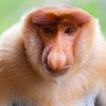 The Uncouth Titans: How Global Powerhouses Stumble Through the Geopolitical Jungle