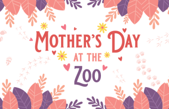 Albuquerque’s BioPark Orchestrates a Mother’s Day Gambit: Beyond Hippos, Towards Urban Policy