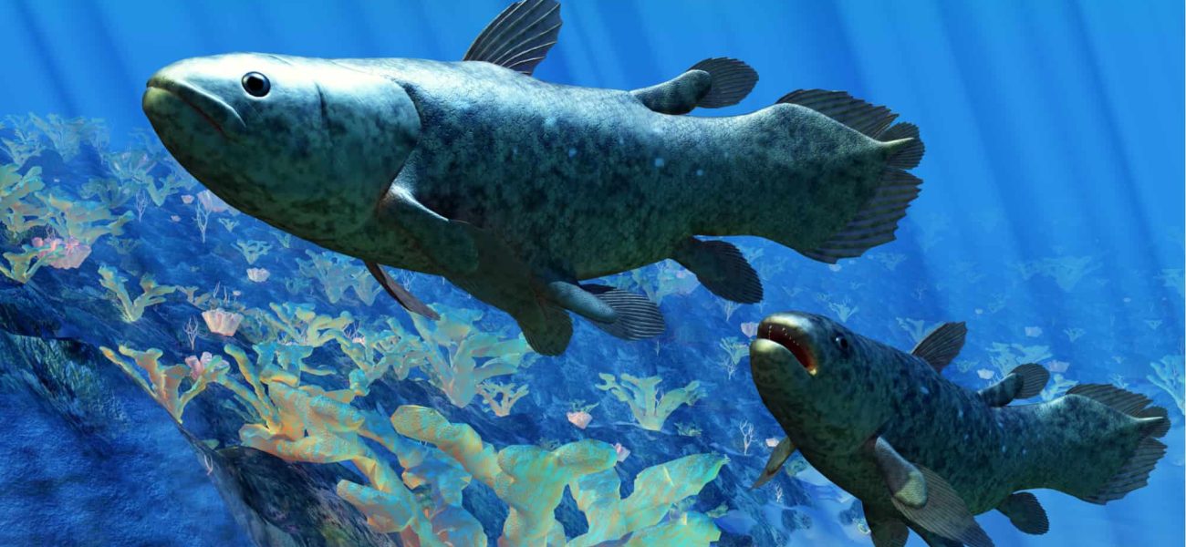 Deep-Sea Discovery: Scientists Moved by Rare ‘Abyssal Lumina’ Fish Find