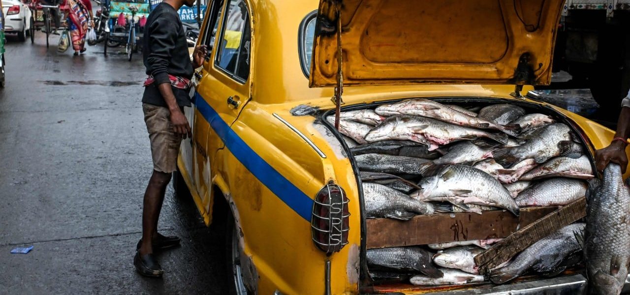 West Bengal Election: Fish Takes Center Stage as Political Flashpoint in India