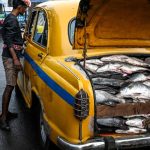 West Bengal Election: Fish Takes Center Stage as Political Flashpoint in India