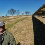 Trump Policies Slash Rural Renewable Energy Funding, AP-Grist Investigation Reveals