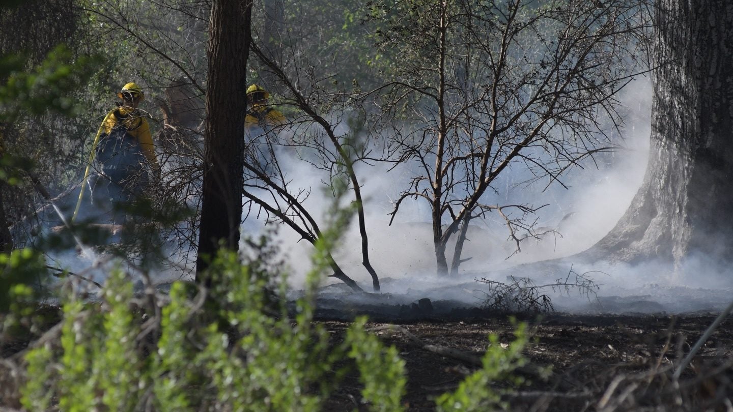 Albuquerque Fire Rescue Contains One-Acre Bosque Fire in South Valley