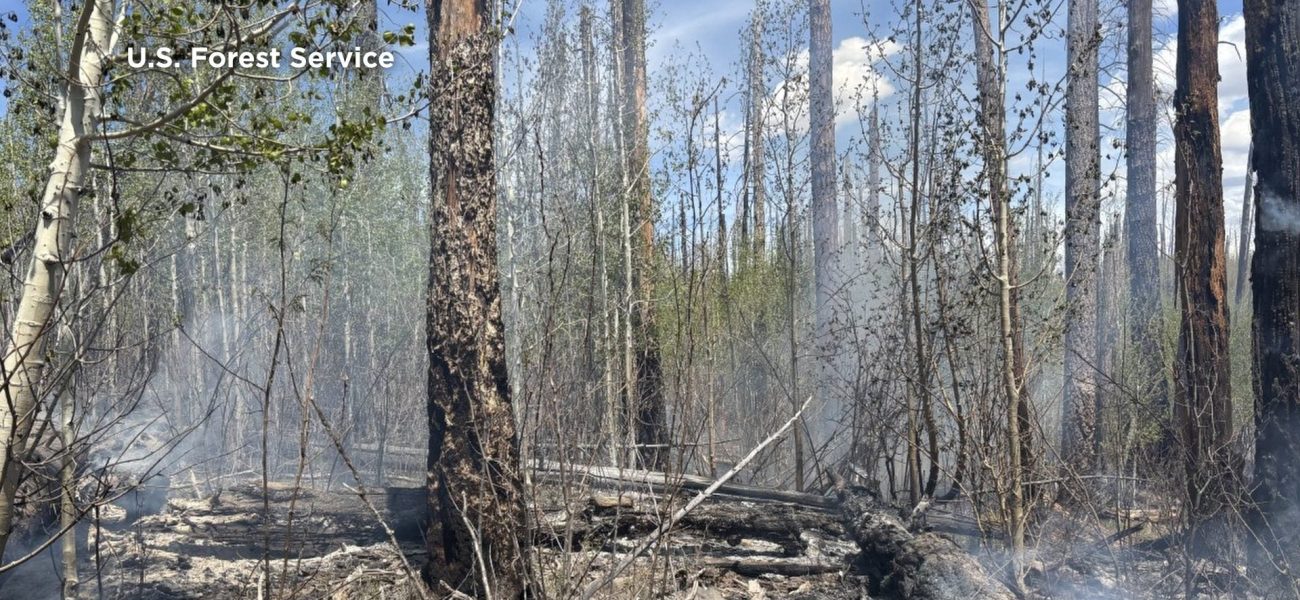 Ghost of ’12: Hummingbird Fire Rekindles Old Scars in Gila Wilderness