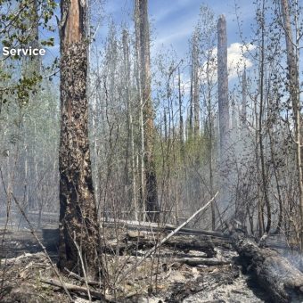 Ghost of ’12: Hummingbird Fire Rekindles Old Scars in Gila Wilderness
