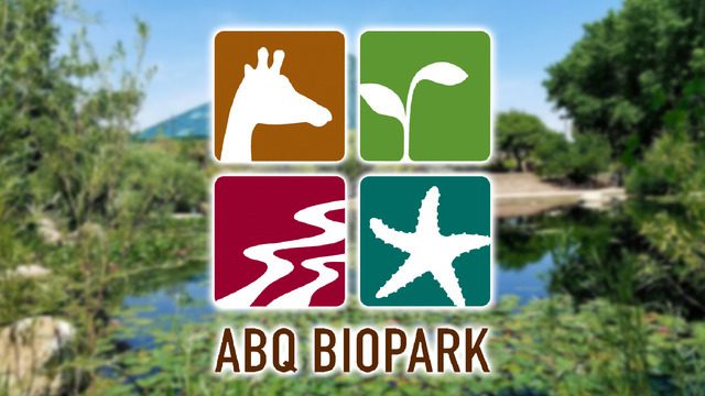 ABQ BioPark Hosts Exclusive Adult Primate Conservation Event: Behind-the-Scenes ‘Great Ape-ril’ Tours
