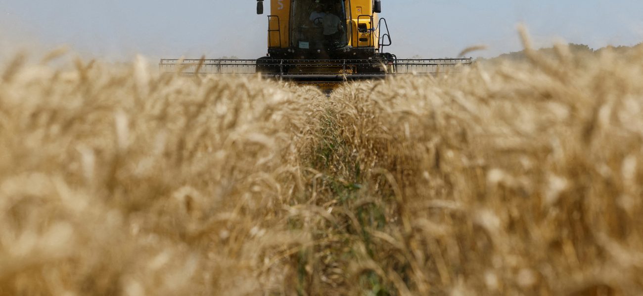Jerusalem’s Quandary: Ukrainian Plea for Seizure of ‘Stolen’ Grain Ship Dumps Diplomatic Dilemma at Israel’s Feet